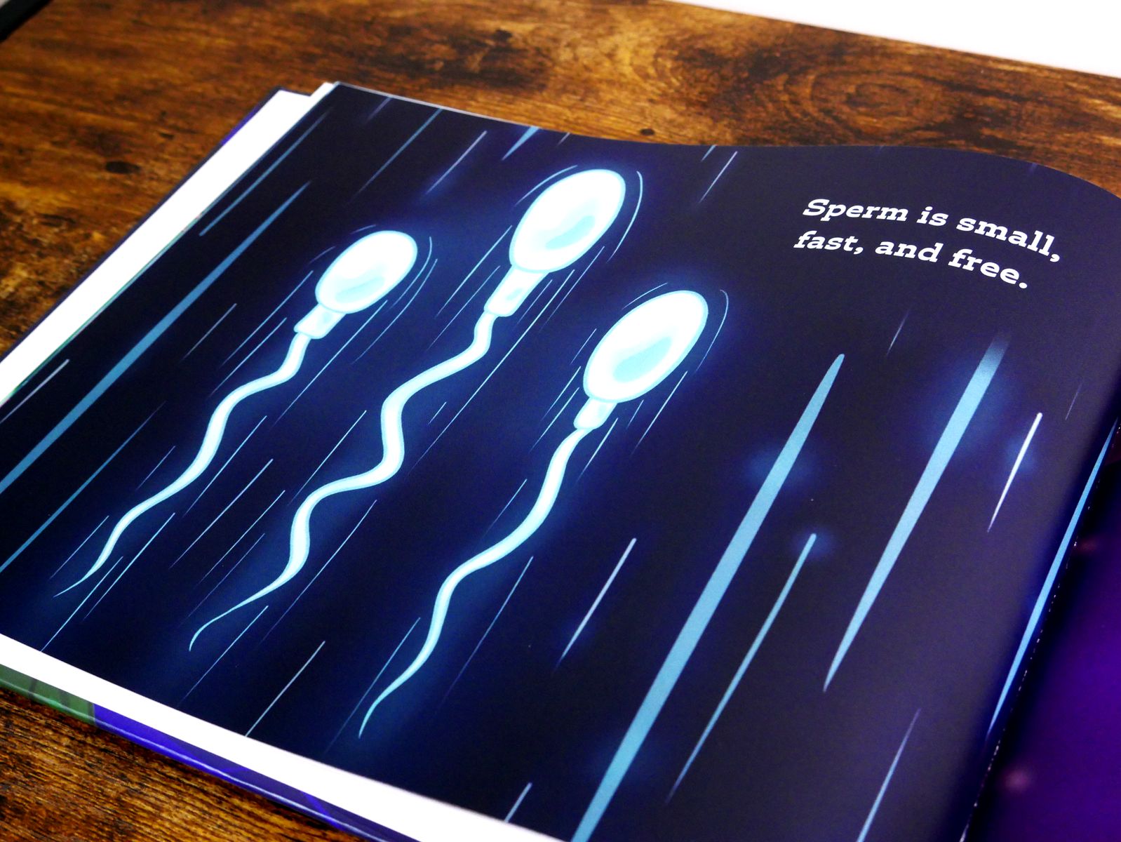 Interior page showing sperm cells from It All Begins With Two