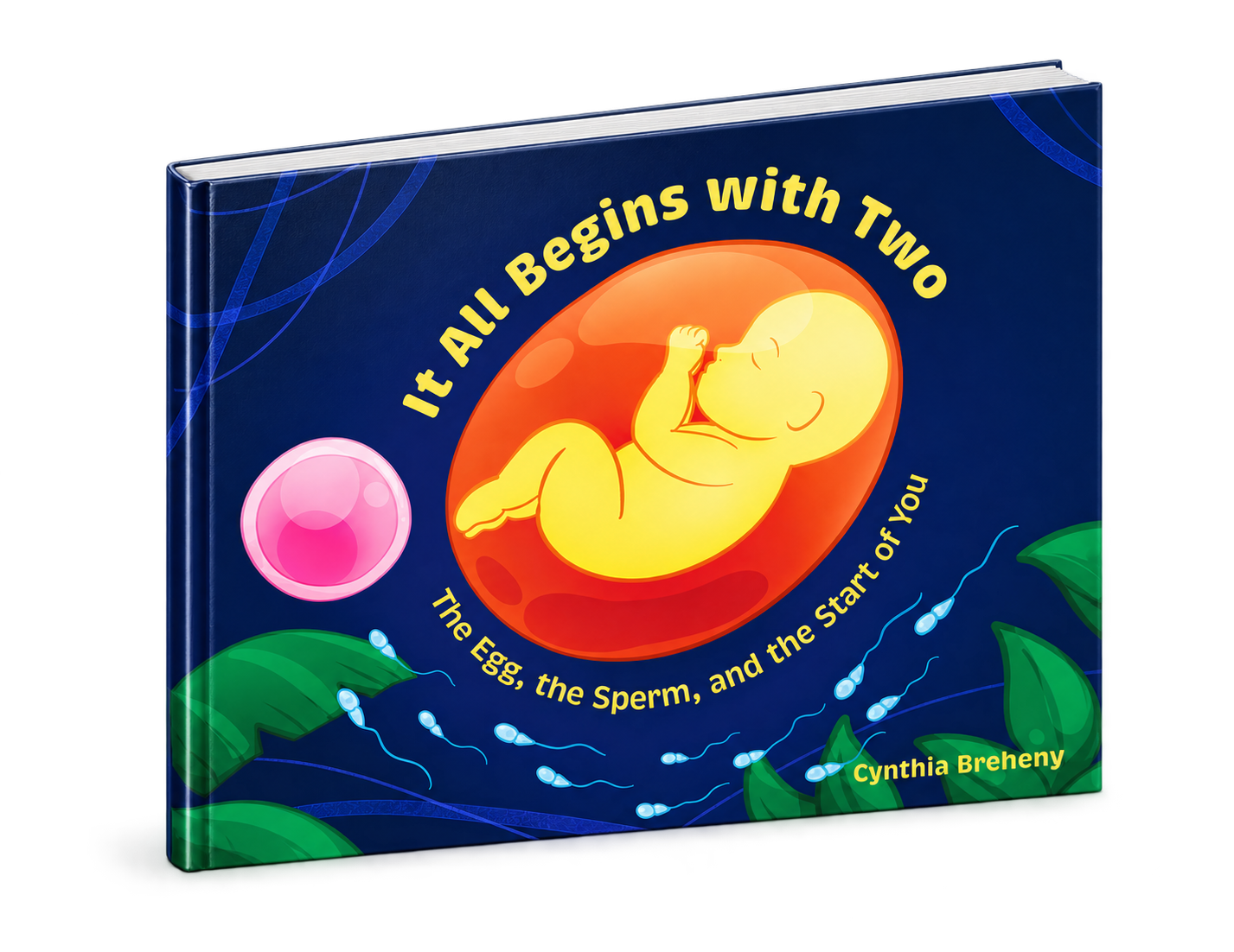 Three-quarter 3D hardcover rendering of It All Begins With Two