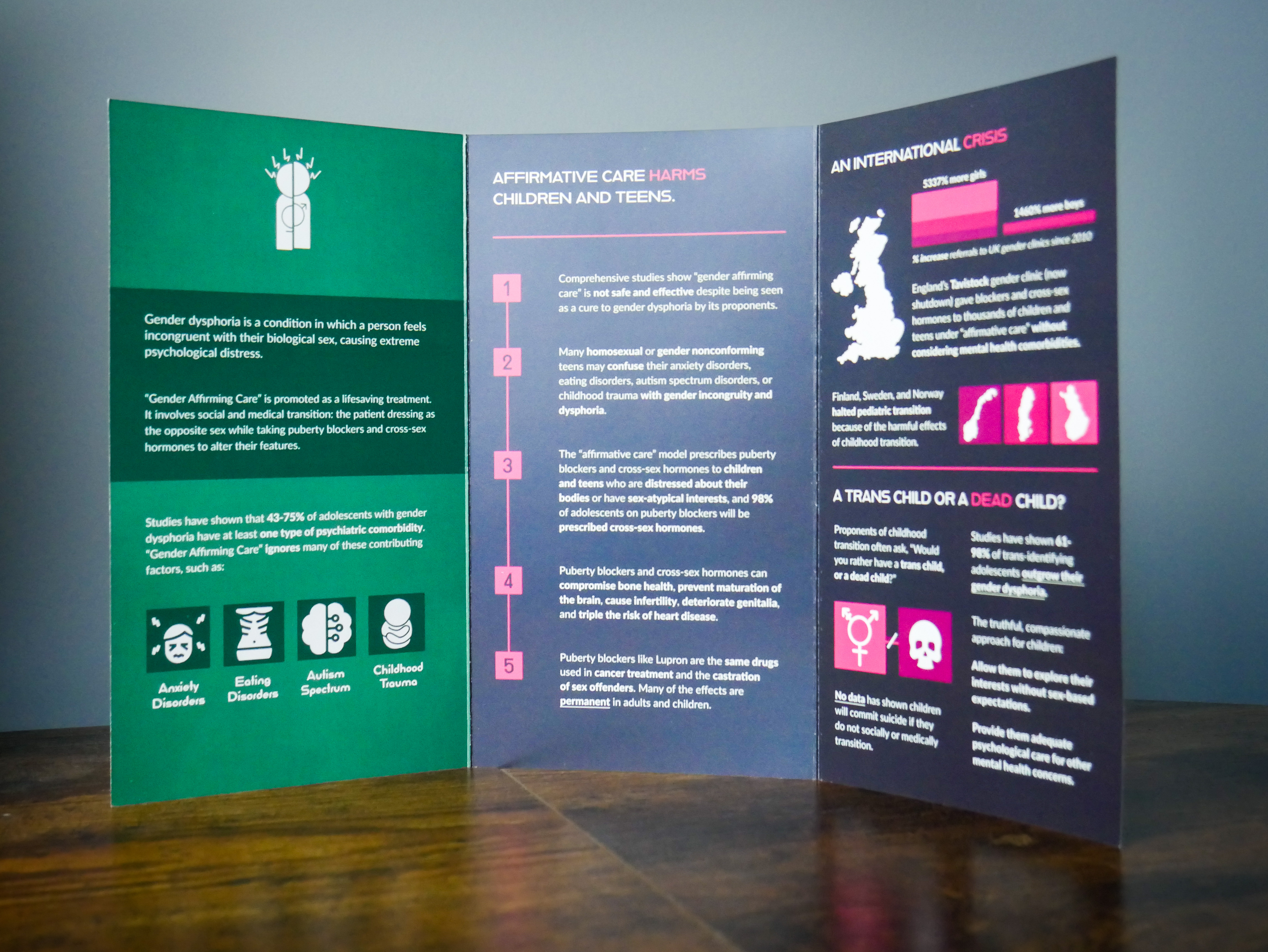 The Myths of Gender-Affirming Care pamphlet opened to show its three printed panels